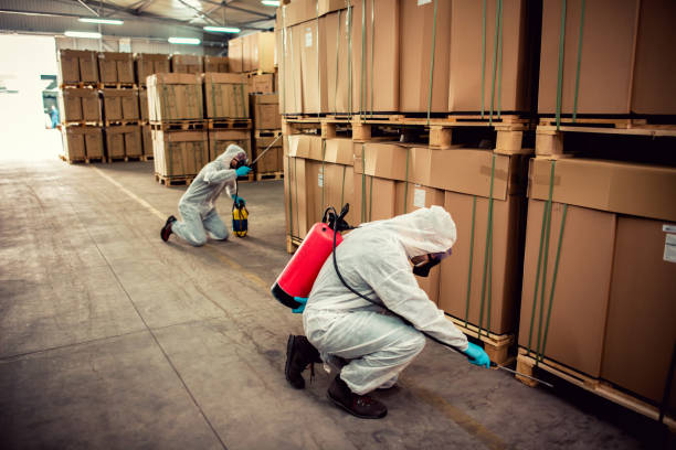 Flea Control Services in Terre Du Lac, MO